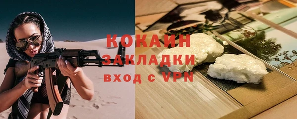 гидра Новозыбков