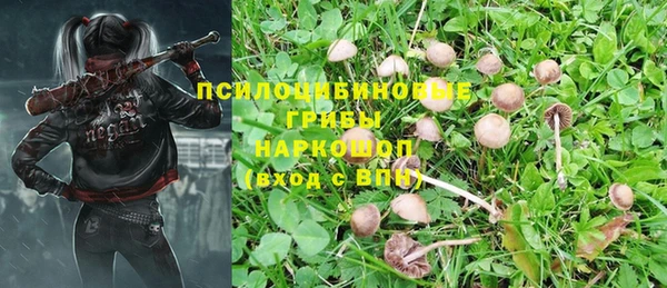 гидра Новозыбков